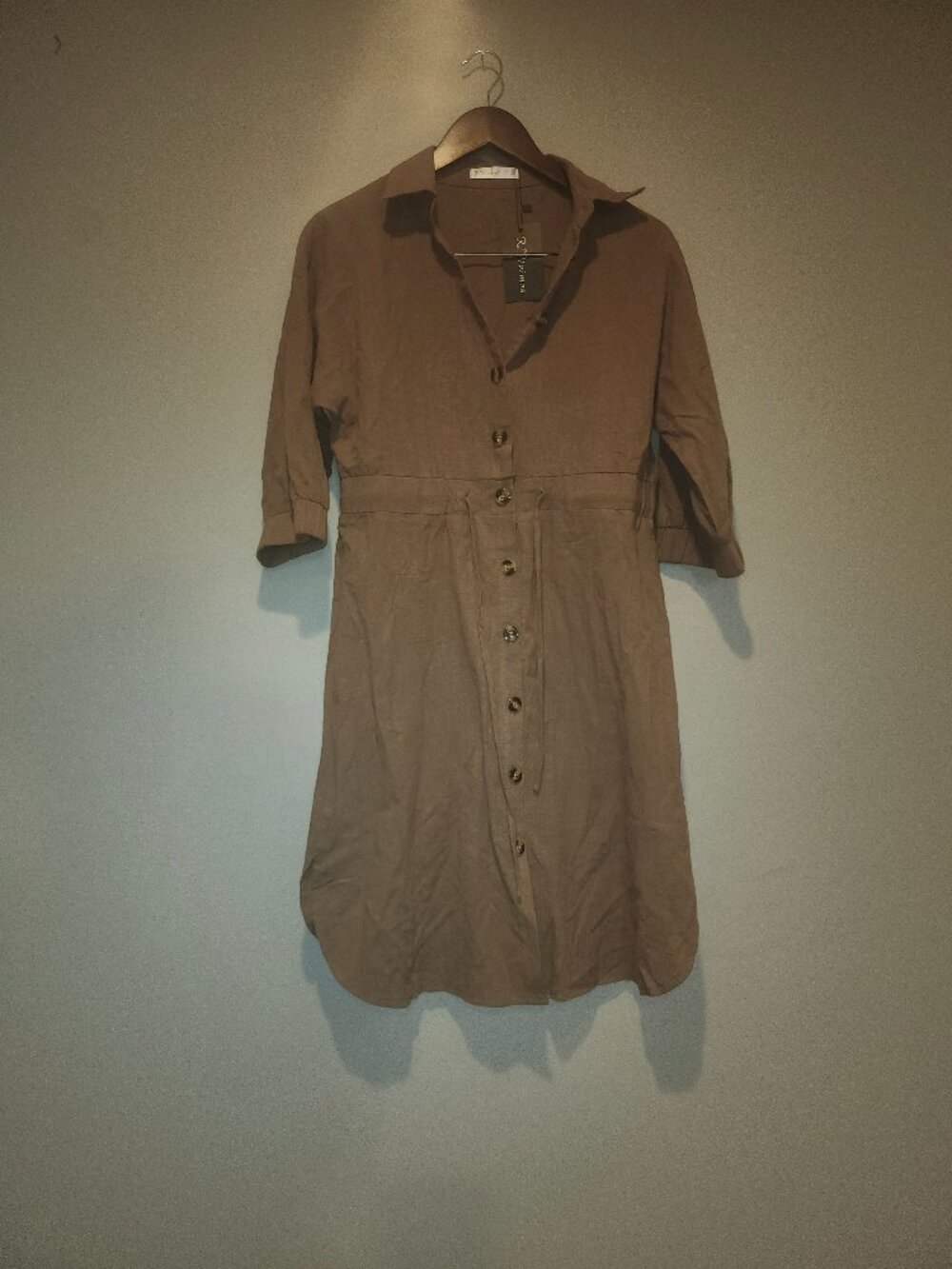 Brown Top/Dress